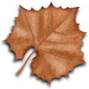 秋意浓浓落叶标本图标